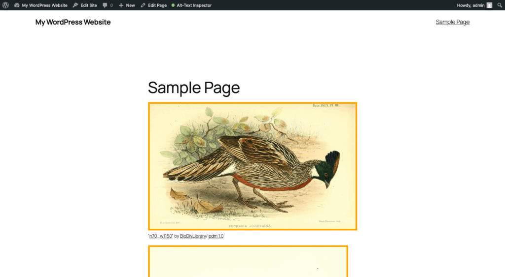 A screenshot of a sample WordPress page in the frontend when the plugins frontend inspector module is active. Two images have an orange outline because their alt-text is empty.